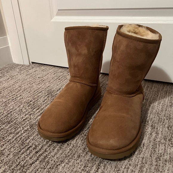 Classic short chestnut uggs - Picture 1 of 3